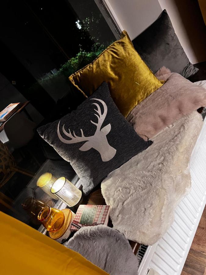 Bavaria Mountain Lodge Ski Arber Osser Bayrischer Wald Designer Ferienwohnung โลห์แบร์ก ภายนอก รูปภาพ